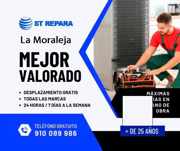 Reparación electrodomésticos la moraleja